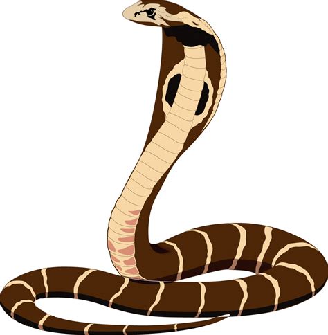 蛇的象徵